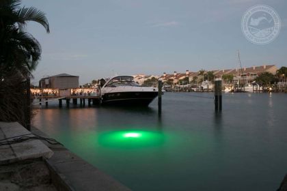 Green Apollo Underwater LED Lighting System (80 foot power cord)