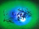 Blue/Green Mega-Watt Iris Underwater LED Lighting System (80 foot power cord)