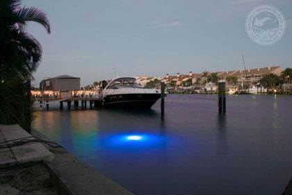 Blue Apollo Underwater LED Lighting System (160 foot power cord)