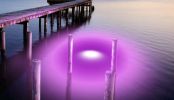 Purple Mega-Watt Underwater LED Lighting System (160 foot power cord)