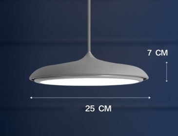 Nordic Modern Simple LED Chandelier Restaurant Chandelier Designer Chandelier (Option: Grey-25cm)