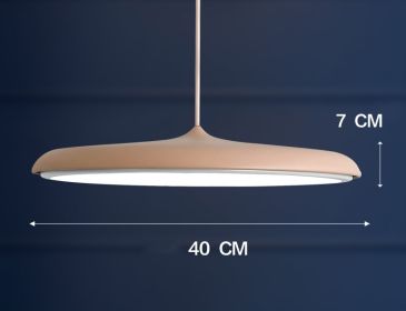 Nordic Modern Simple LED Chandelier Restaurant Chandelier Designer Chandelier (Option: Rose Gold-45cm)